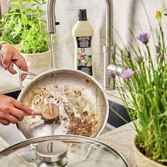 Collection image for: RVS reiniger