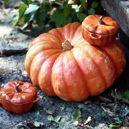 Staub Keramiek Pompoen Cocotte Kaneel 12cm / 0.5L